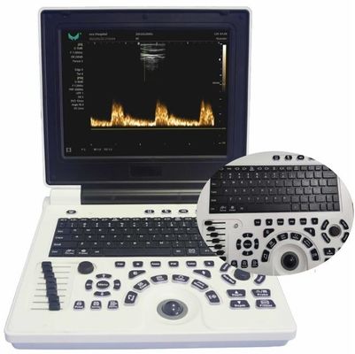 Jakość  12in LCD Display Veterinary Ultrasound Equipment For Large Animals FDA ISO fabryka