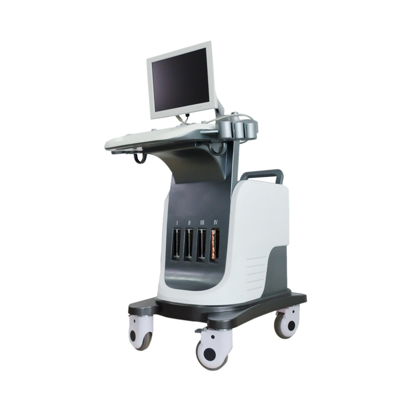 BPW Mobile Digital Color Doppler Ultrasound System 15-calowy wyświetlacz LED
