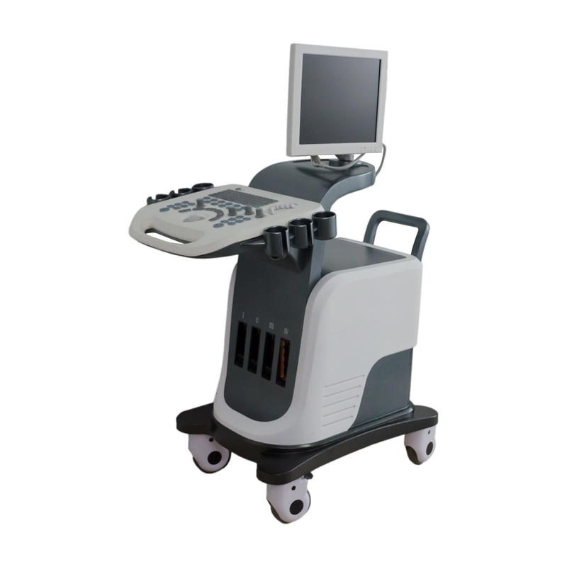 BPW Mobile Digital Color Doppler Ultrasound System 15-calowy wyświetlacz LED