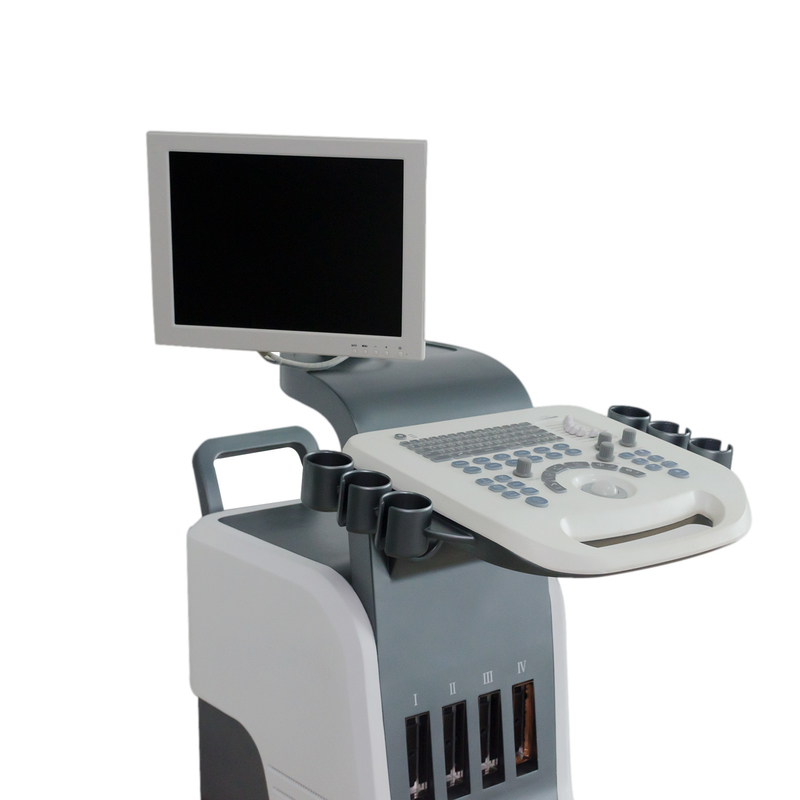 BPW Mobile Digital Color Doppler Ultrasound System 15-calowy wyświetlacz LED