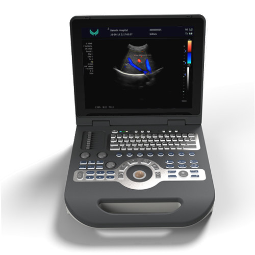 SGS Cardiology Color Ultrasound Scanner 220 V Ręczne urządzenie ultradźwiękowe Doppler