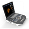 Eco Medical 4D Color Przenośny aparat do ultrasonografii Ultradźwięki cyfrowe