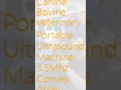 USB Canine Bovine Weterynaryjna przenośna ultrasonograficzna maszyna 3,5 MHz Convex Array Sonda